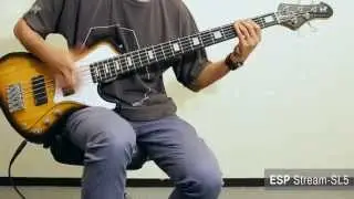 ESP / Stream-SL5【デジマート製品動画】