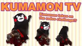 【Kumamon TV】🏇Kumamon takes on the rodeo challenge!?