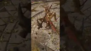 Elden Ring PVP Do Not Get Caught in the Savage Lions Claw Ash