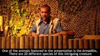 Wild About Banham Zoo Ep 7 | Amazing Animals