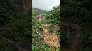 What a beauty Siddhagad Waterfall Trekking 5 #shorts #SiddhagadWaterfall #waterfall #siddhagad
