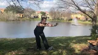 Five Animal Frolics Qi Gong - Tiger