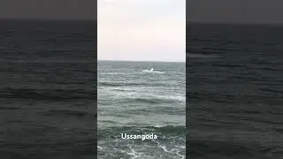 Ussangoda beach camping