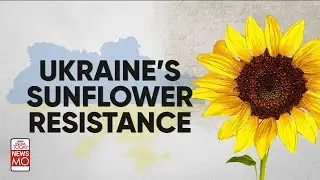Ukraine Russia Crisis: India's Edible Oil Market Hit; Why Sunflower Oil Prices Are Shooting Up