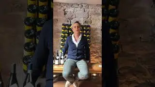 DIE REBSORTE CHARDONNAY I weinhelden.de