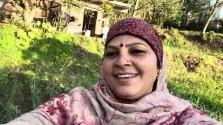 मायके में लास्ट दिन # बंदरों का आतंक #bilaspuriculture #villagelife 👍👍