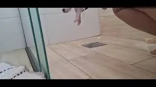 primeiro banho Zeus e zara .....