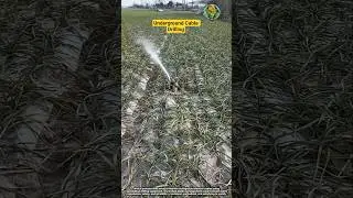 Underground Cable Drilling Process 🕳️⚡ | Precision Traction Installation
