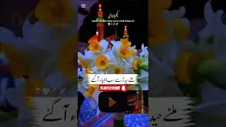 1st zilhaj status anniversary of imam Ali Le ke barat shehe Khuda aagya #farhanaliwaris #majliseaza