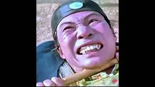 Snake and the Cat fight part 2 #martialarts #challenge #kungfu 