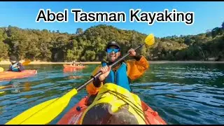 Abel Tasman | New Zealand Most Popular Spot for Sea Kayaking & Cruise