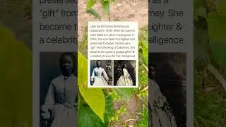 Lady Sarah Forbes Bonetta was orphaned in 1848, when her parents were killed in a slave-hunting war.
