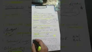 MCQ preparation part 2 from Macro class 12
