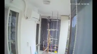 06 11 2025