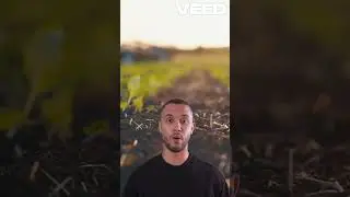 Genesis vs  Science  Creation Contradictions!