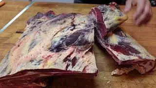 Butchering beef part2 Front quarter