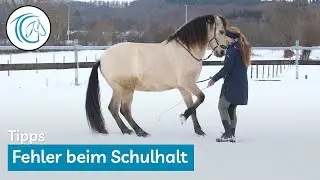 Korrekter Schulhalt - Diese 5 Fehler verhindern die Versammlung!