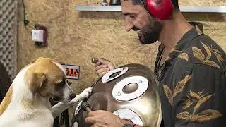 Handpan tuning is not an intuitive process