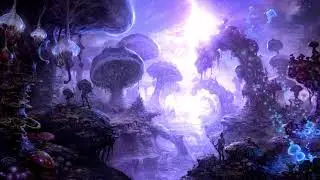 Enchanted Mushroom Forest Ambience || Birds Singing, Calming Creek, Mystical Music