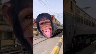 Chimpanji new intercity express trains #shorts ￼￼
