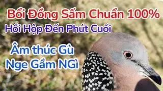Chim Cu G&aacute;y Trinh Phục Bổi Đồng Sấm Chuẩn &Acirc;m Đồng Sấm 100% Bổi Nổi Lập C&ocirc;ng