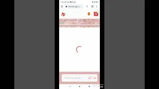 how to use star pets