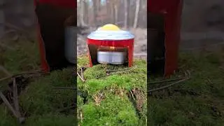 Can you cook an egg with a candle?🍳 #survival #bushcraft #outdoors #cooking
