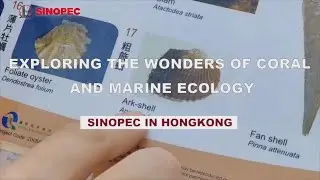 Exploring the Wonders of Coral and Marine Ecology