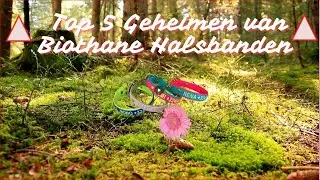 De Top 5 Geheimen over Biothane Halsbanden Onthuld