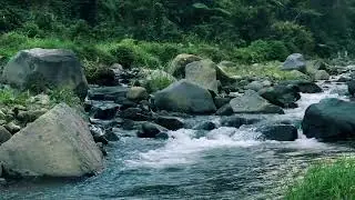 Pure River Flow ASMR | For Sleep & Mental Clarity