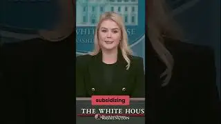 Karoline Leavitt Exposes USAID&rsquo;s Media Funding 💰🚨
