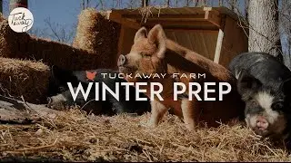 Winter Prep on Our Farm: Essential Tips for Animal Care & Infrastructure