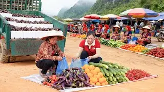 Harvesting 1000+ Eggplant, Use Truck To Transport Many Eggplant Go To Countryside Market Sell