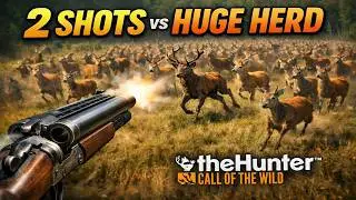 What Happens If You Fire 2 Shotgun Shots Into a Huge Deer Herd? theHunter: Call of the Wild