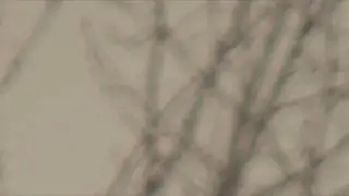 Enter the Trance | It already is - (1hr) Healing Guitar Frequencies - Relax into Presence