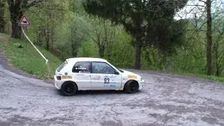 24&deg;Rally Valli Cuneesi 2018 Martinod-Corsini by Ferrario
