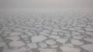 Marginal Ice Zone of Antarctica