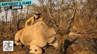 Gerald McRaney hunts Hartebeest & Eland in Zambia