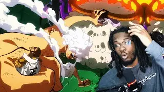The Gorosei CANT HANG WITH LUFFY | ONE PIECE EPISODE 1141 REACTION