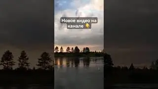 #hobby #fishing #рыба #2024 #nature #животные #щука #river #summer #рыбалка #shorts #рыбалка