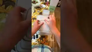 40-Piece Airtight Food Storage Set for Meal Prep & More