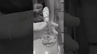Psuedomonas and aeruginosa Test in water#pseudo #prectical #subscribe #labpractical #like #comment