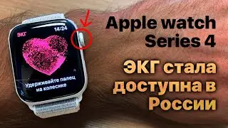 Apple watch Series 4 ЭКГ стала доступна в России