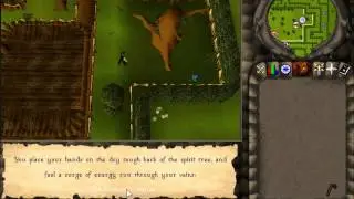 Project RS06 - Glitch Access to the Tree Gnome Stronghold