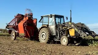 🔥Ostatni raz Neptun na kanale!🔥Kopanie buraków 2025🔥Ursus C-360 3p& Zetor Proxima 8441🔥