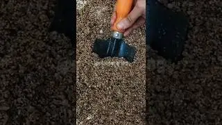 🌱 Tips For plants Care | Gardening Hacks for plant lover - 2🍃 #viral #shorts #hack #tips