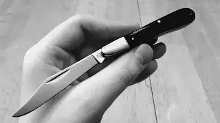 Taylor's Eye Witness Gentleman's Clip (Slim Barlow) In Buffalo Horn By Lee White.