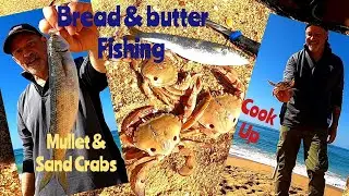 Bread & butter fishing. Yellow eye Mullet & sand Crabs. cook up. Ep 57