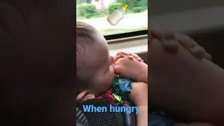 When hungry #shorts | #short когда голоден