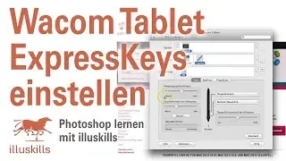 Wacom Tablett ExpressKeys einstellen